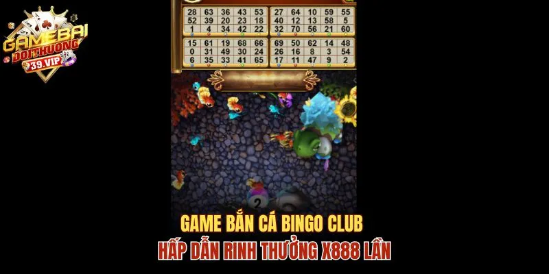 Game Bắn Cá Bingo Club Hấp Dẫn Rinh Thưởng X888 Lần 12 Bắn cá Bingo club