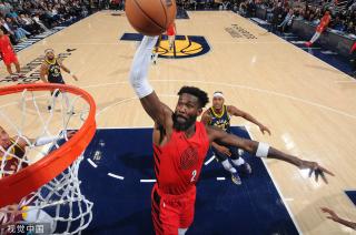 的一支年轻 的一支年轻